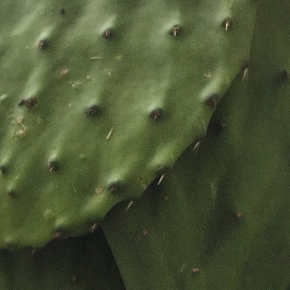 Meet your Posher, Glittery - Picture 1 of 1